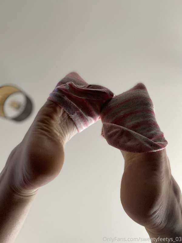 I know you love my stinky socks 😉 come here and sniff them ! 4