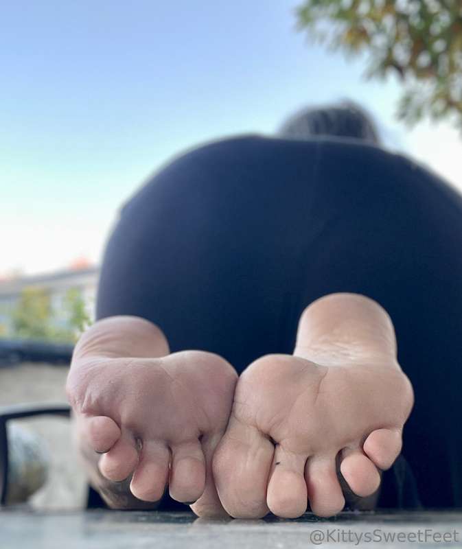 Happy Hump Day! 4