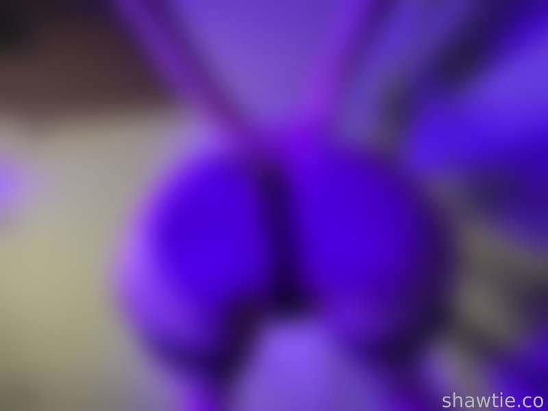 Shawtiee - Fansly - 15 May, 2024