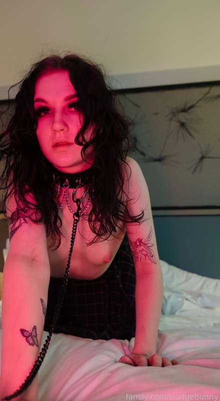 Sludgebunny - Fansly - 01 Feb, 2023