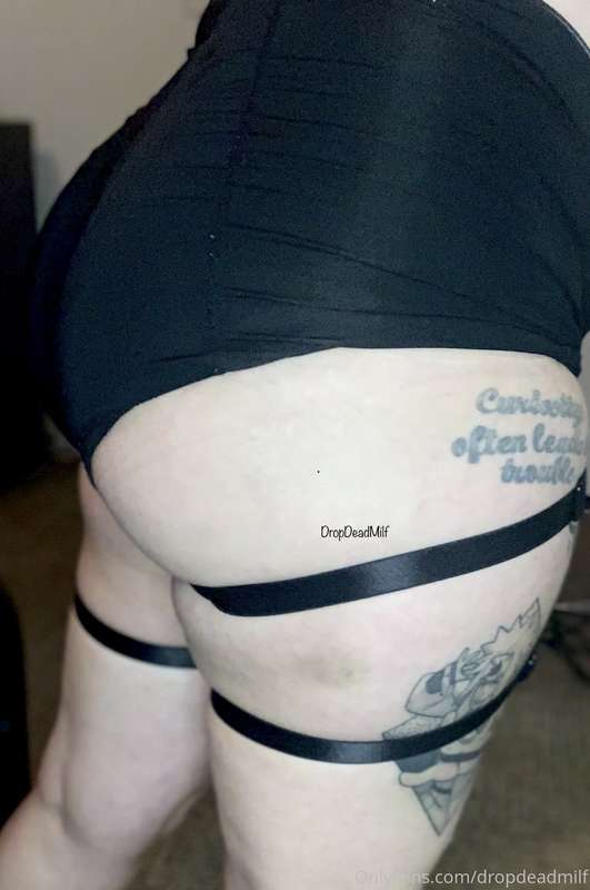 I need more harnesses 😈