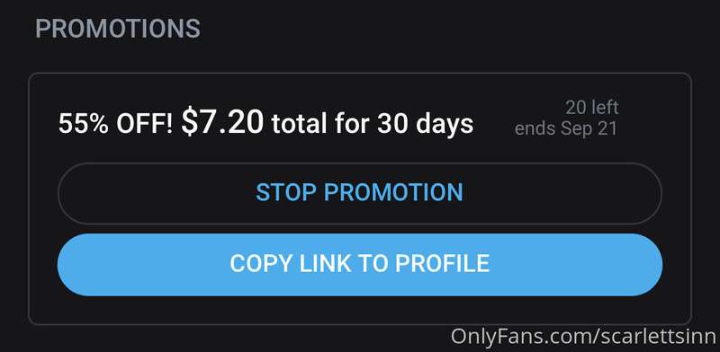My paid page is only $7.20 right now!! 55%, until my birthda..