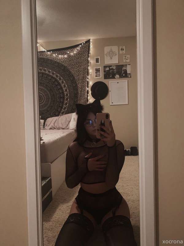 here kitty kitty 3