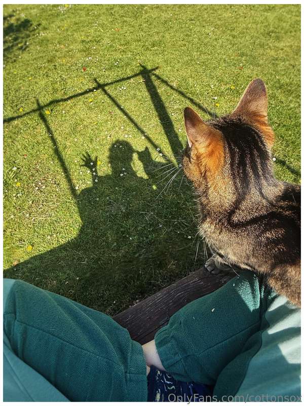 Sad Post Warning, cat diedLoving someone or something is dan.. 13