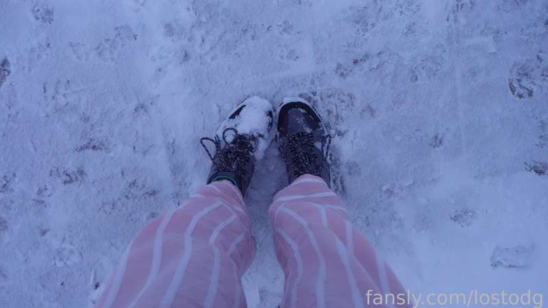 Lostodg - Fansly - 26 Feb, 2023