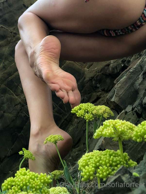 🥦 1