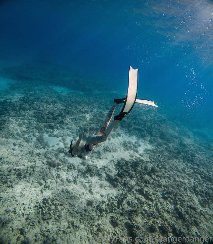 i went diving with my friend Harley @itsharleybarbie  & she ..