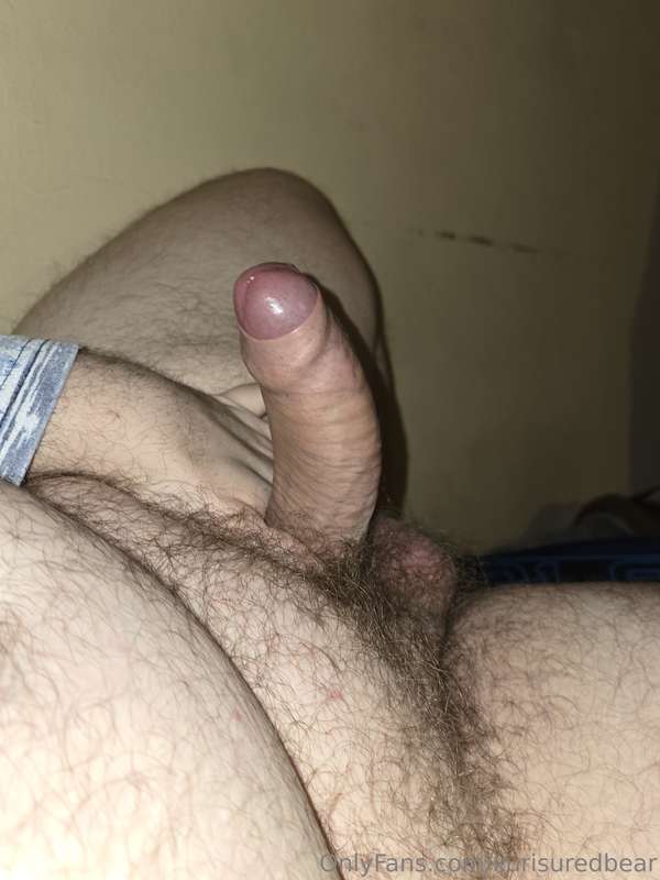 🐻