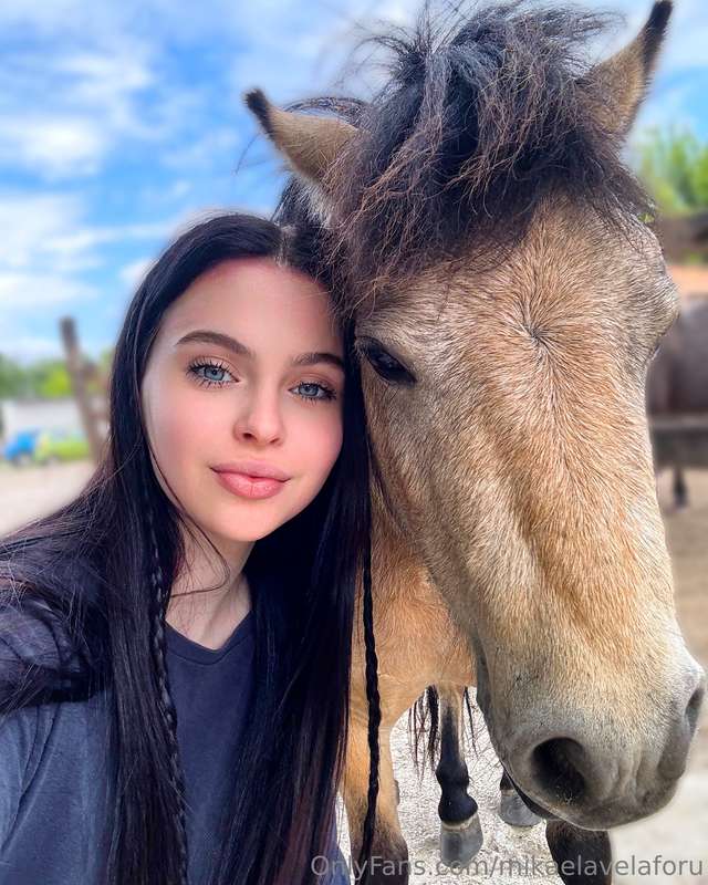I love these wonderful animals, horses are cute and kind cre..