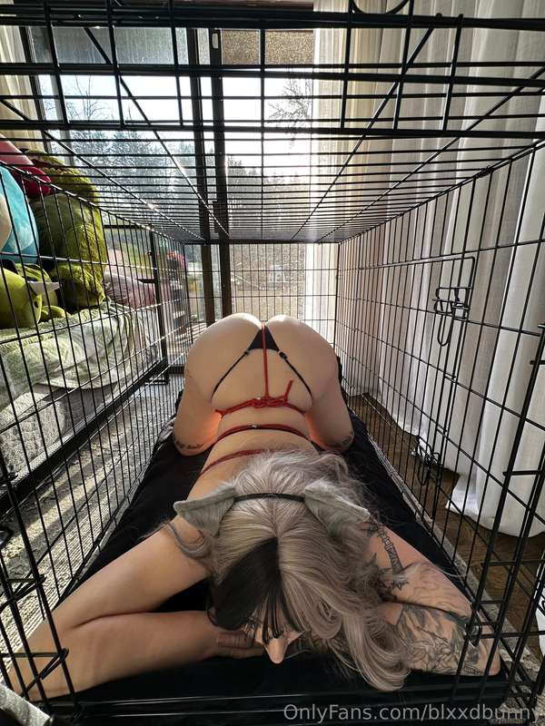 Blxxdbunny - Onlyfans - 22 Jan, 2025 4
