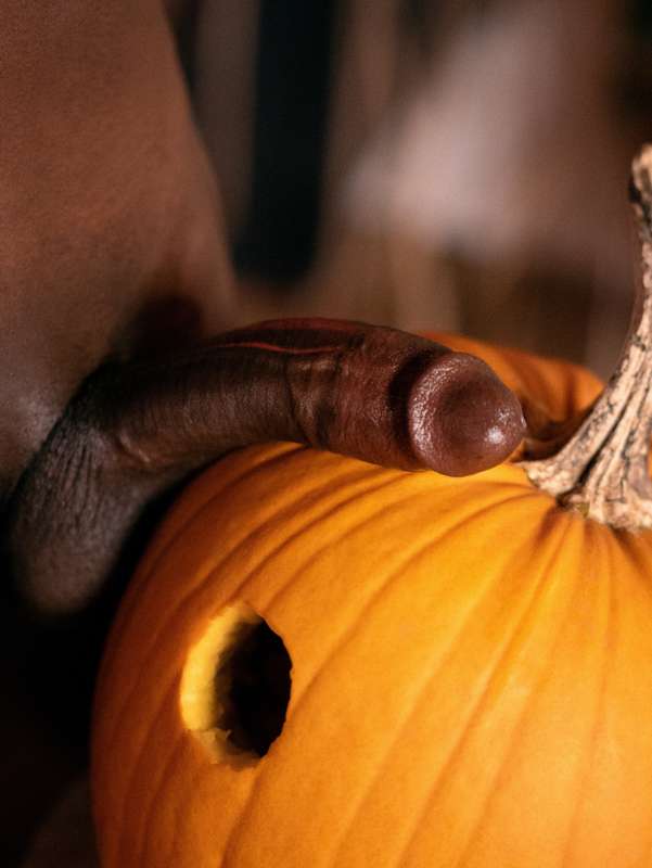 i stuffed this pumpkin, but i was thinking about your ass th..