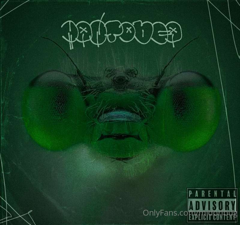 just dropped a new beat tape 🥺 mantodea 🐛 https://tenshilola..