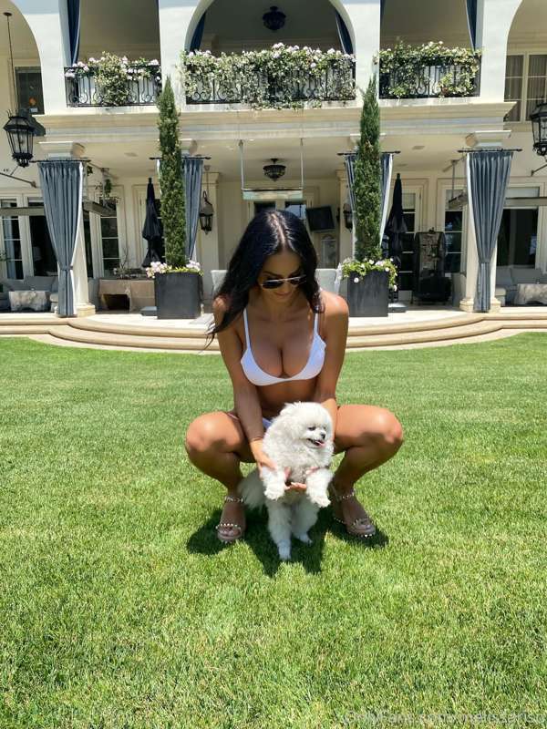 I know it’s hump day…. But can we make it pup day as well? 🐶..
