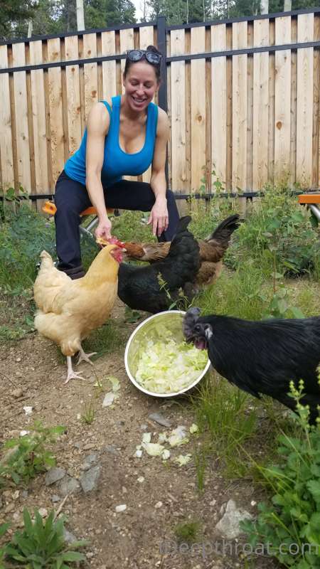 Happy Sunday guys. I'm giving the chickens some treats befor..