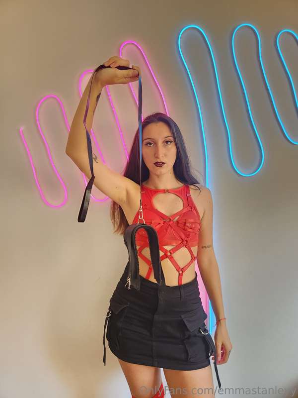 Come on, put on this leash. I want to take my pets for a wal..