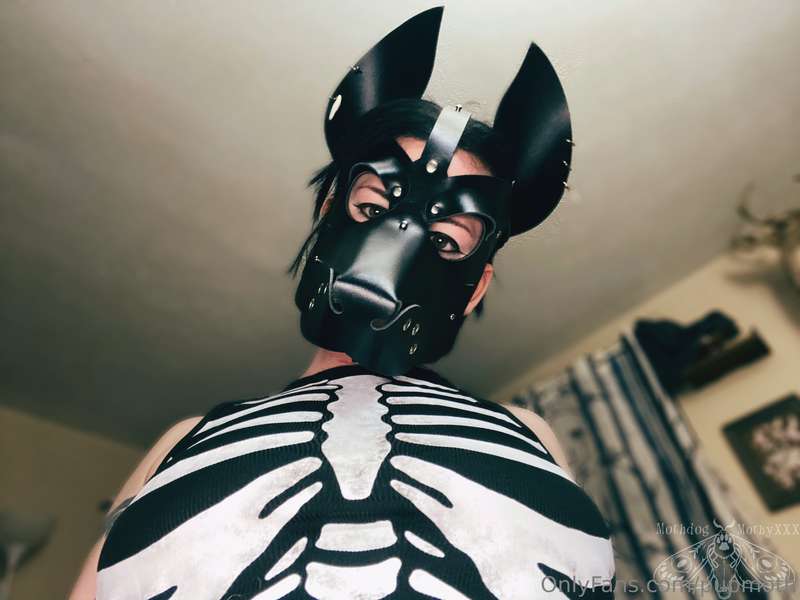 POV: Puppy needs a bone as soon as you wake up. 🥺👉👈