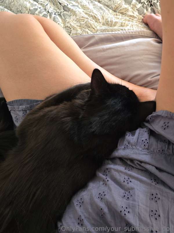 He's so happy, he must know how lucky he is 😄🐈‍⬛️💕 2